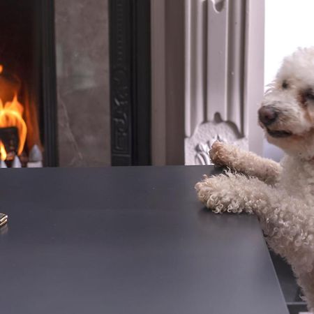 Brook Lodge Boutique Hotel Killarney Luaran gambar