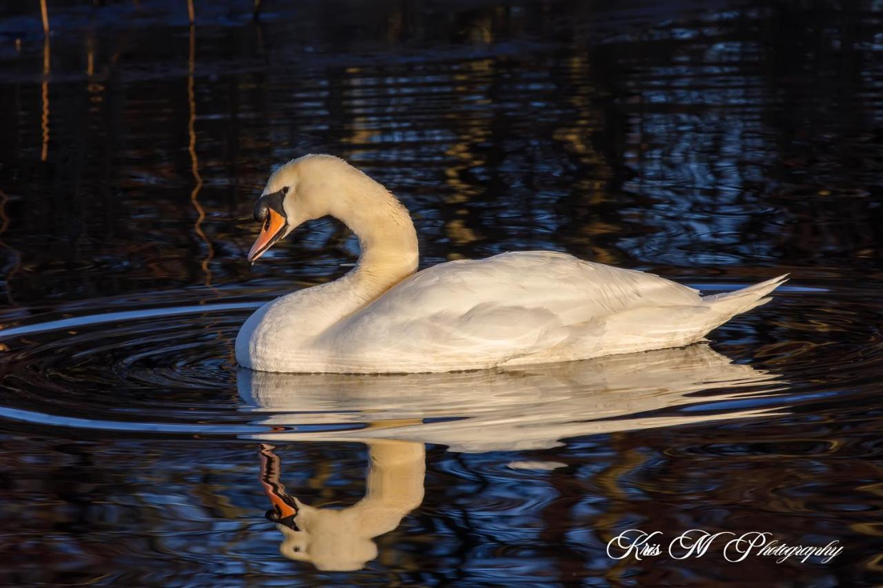 Brook Lodge Boutique Hotel Killarney Luaran gambar